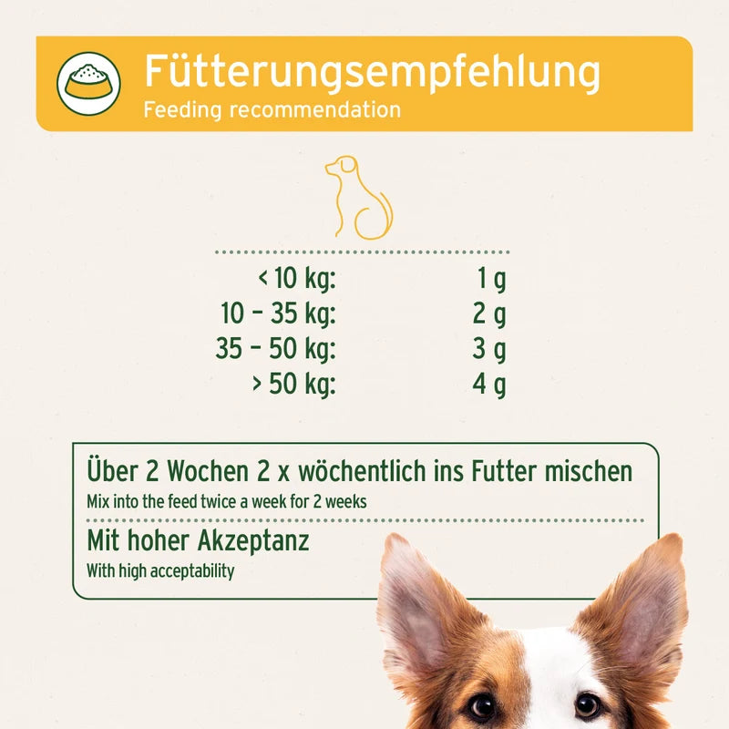 AniForte WermiX Hunde - Aufbaukur nach Wurmbefall 250 g