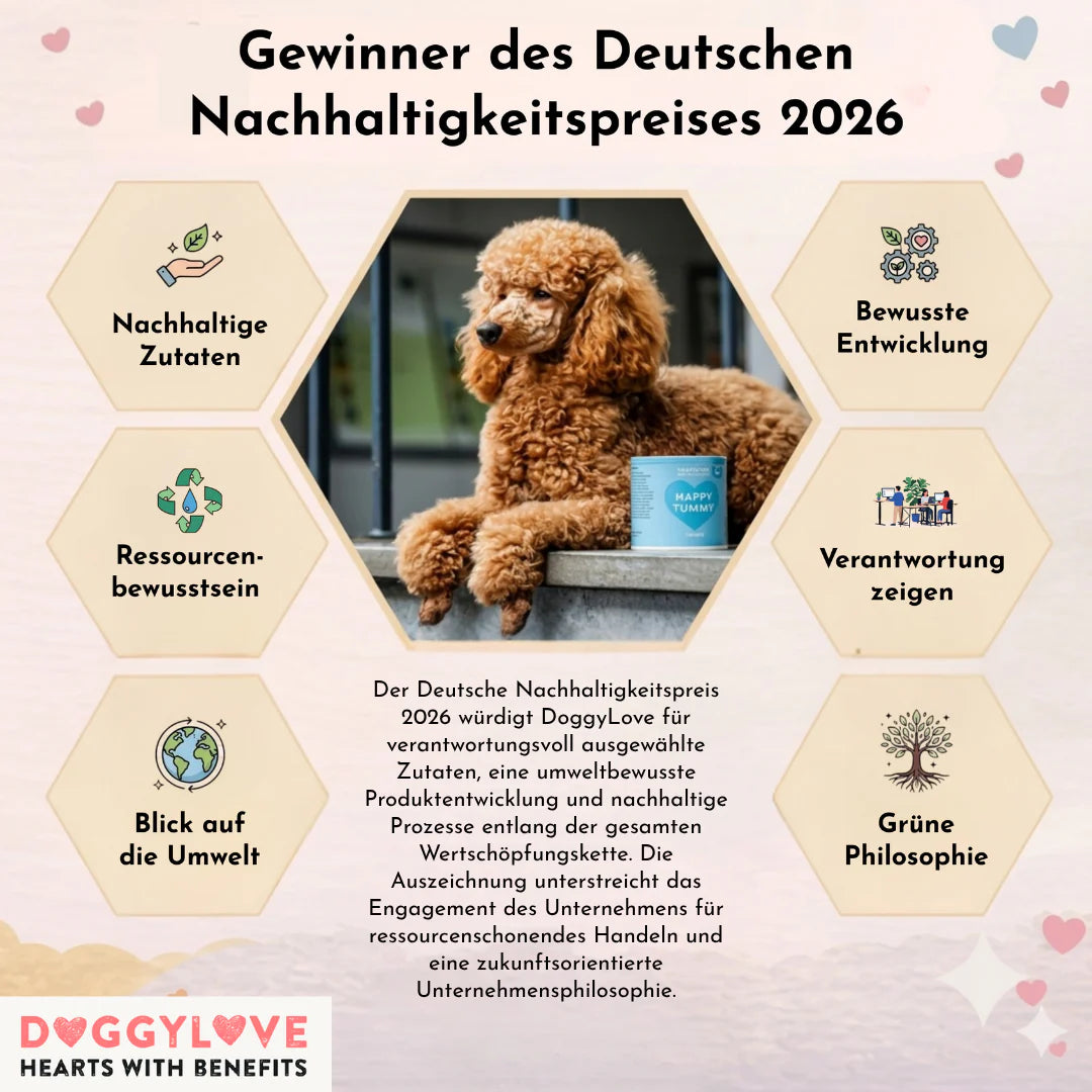 DOGGYLOVE Funktionale pflanzliche Hundesnacks - "Sport Support" 330 g