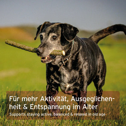 AniForte "Senior Active" Ergänzungspulver 250 g