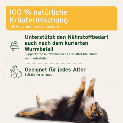 AniForte WermiX Hunde - Aufbaukur nach Wurmbefall 250 g