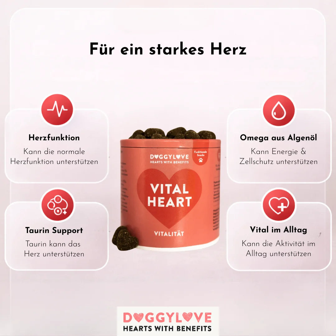 DOGGYLOVE Funktionale pflanzliche Hundesnacks - "Vital Heart" 330 g