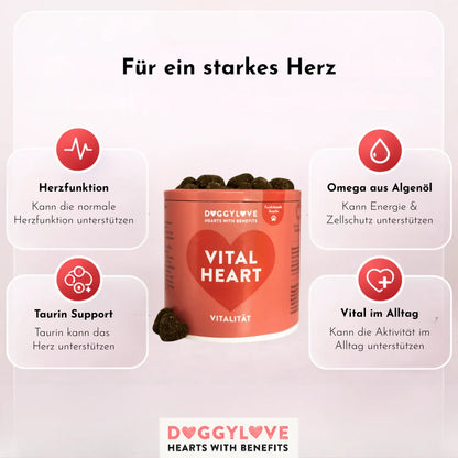 DOGGYLOVE Funktionale pflanzliche Hundesnacks - "Vital Heart" 330 g