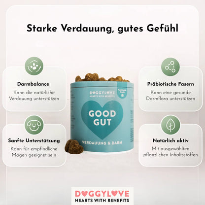 DOGGYLOVE Funktionale pflanzliche Hundesnacks - "Good Gut" 330 g