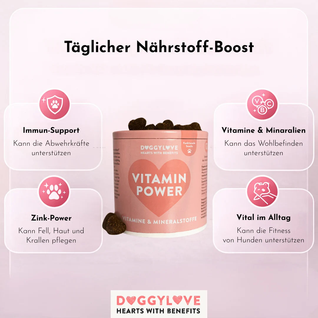 DOGGYLOVE Funktionale pflanzliche Hundesnacks - "Vitamin Power" 330 g