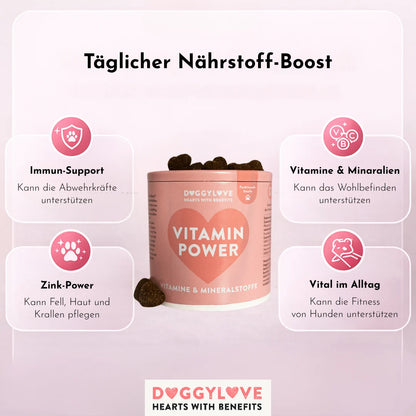 DOGGYLOVE Funktionale pflanzliche Hundesnacks - "Vitamin Power" 330 g